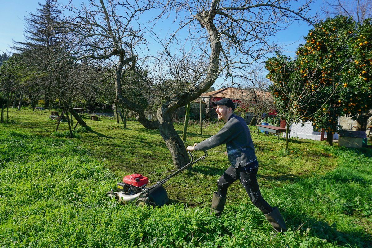 A man mowing a green lawn